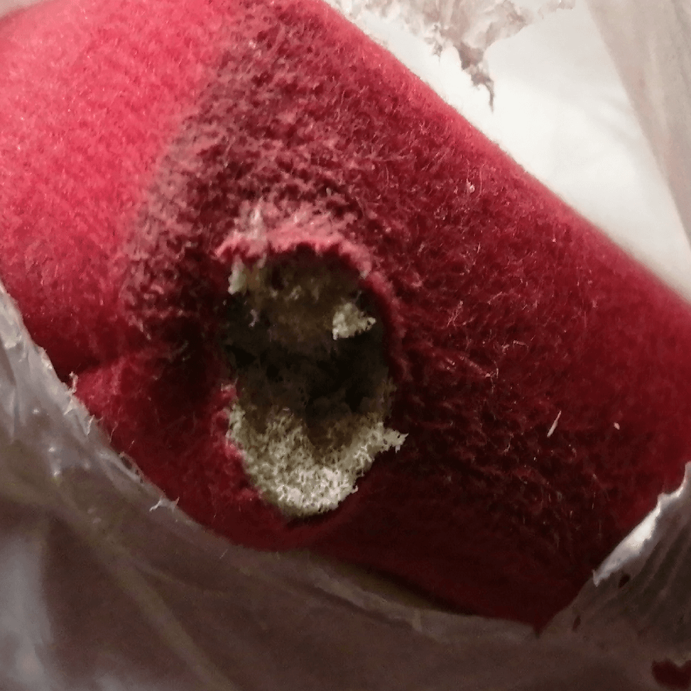 Celočalúnená váľanda s molitánovým matracom, pravá, červená/vzor, EDVIN 4 LUX P1, poškodený tovar
